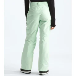 The North Face Freedom Insulated Pants - Women's-Women Snow Clothing|Snowboard Pants & Bibs