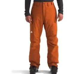 The North Face Freedom Insulated Pants - Men's- Snow Clothing|Snowboard Pants & Bibs