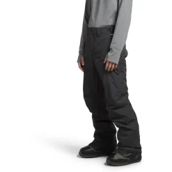 The North Face Freedom Insulated Pants - Men's- Snow Clothing|Snowboard Pants & Bibs