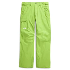 The North Face Freedom Pants - Men's- Snow Clothing|Ski Pants & Bibs