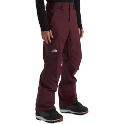 The North Face Freedom Pants - Men's- Snow Clothing|Ski Pants & Bibs
