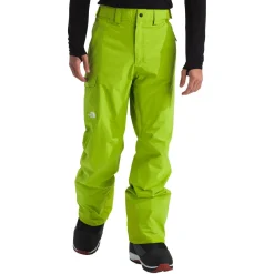 The North Face Freedom Pants - Men's- Snow Clothing|Ski Pants & Bibs