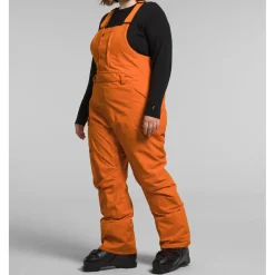 The North Face Freedom Plus Bibs - Women's-Women Snow Clothing|Snowboard Pants & Bibs