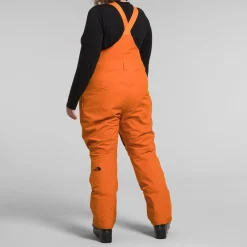 The North Face Freedom Plus Bibs - Women's-Women Snow Clothing|Snowboard Pants & Bibs