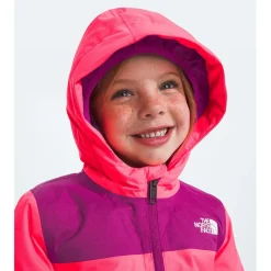 The North Face Freedom Snow Suit - Toddlers'-Kids Toddler Snow Clothing|Toddler 18M - 7T