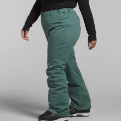 The North Face Freedom Stretch Plus Pants - Women's-Women Plus|Snow Clothing