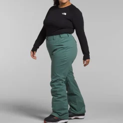 The North Face Freedom Stretch Plus Tall Pants - Women's-Women Tall|Plus