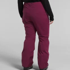 The North Face Freedom Stretch Plus Tall Pants - Women's-Women Tall|Plus
