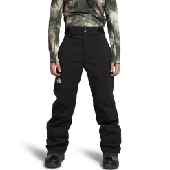 The North Face Freedom Stretch Pants - Men's- Snow Clothing|Ski Pants & Bibs