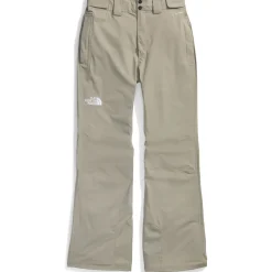 The North Face Freedom Stretch Pants - Men's- Snow Clothing|Ski Pants & Bibs