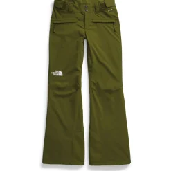 The North Face Freedom Stretch Pants - Women's-Women Snow Clothing|Snowboard Pants & Bibs