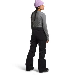 The North Face Freedom Stretch Pants - Women's-Women Snow Clothing|Snowboard Pants & Bibs