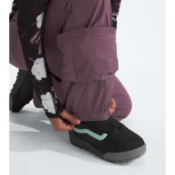 The North Face Freedom Stretch Pants - Women's-Women Snow Clothing|Snowboard Pants & Bibs