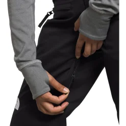 The North Face Freedom Stretch Tall Pants - Women's-Women Tall|Snow Clothing