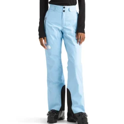 The North Face Lenado Short Pants - Women's-Women Short|Snow Clothing