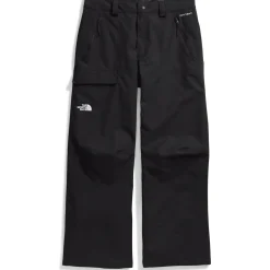 The North Face Seymore Short Pants - Men's- Short|Snow Clothing