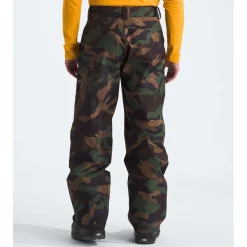 The North Face Seymore Tall Pants - Men's- Tall|Snow Clothing