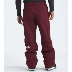 The North Face Slashback Pants - Men's- Snow Clothing|Snowboard Pants & Bibs