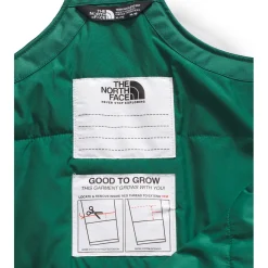 The North Face Teen Freedom Insulated Bibs - Kids'-Kids Girls Snow Clothing|Boys Snow Clothing