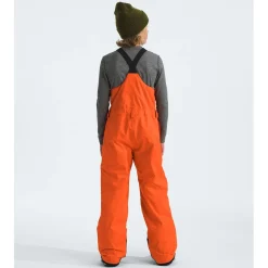 The North Face Teen Freedom Insulated Bibs - Kids'-Kids Girls Snow Clothing|Boys Snow Clothing