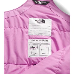 The North Face Teen Freedom Insulated Bibs - Kids'-Kids Girls Snow Clothing|Boys Snow Clothing