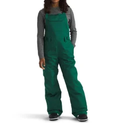 The North Face Teen Freedom Insulated Bibs - Kids'-Kids Girls Snow Clothing|Boys Snow Clothing