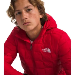 The North Face ThermoBall™ Hooded Jacket - Boys'-Kids Kids Clothing|Kids Jackets