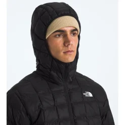 The North Face ThermoBall™ Eco Hoodie 2.0 Hoodie - Men's- Casual Clothing|Snow Clothing