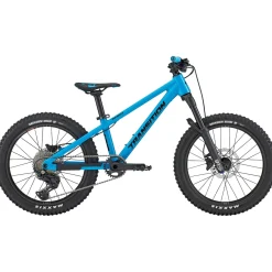 Transition Bandit Complete Mountain Bike - Kids' 2025-Kids Mountain Bikes|Kids Bikes